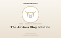 The Anxious Dog Solution: A Complete Calm-Down System for Reactive & Fearful Dogs